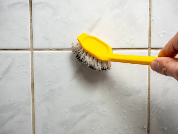Best DIY Mold Remediation Support Services in French Lick, IN